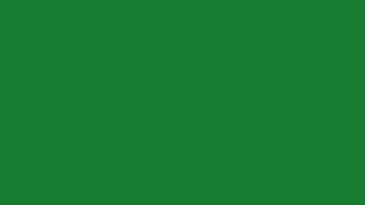 10 HORAS DE TELA VERDE ESCURO/ 10 HOURS OF DARK GREEN SCREEN