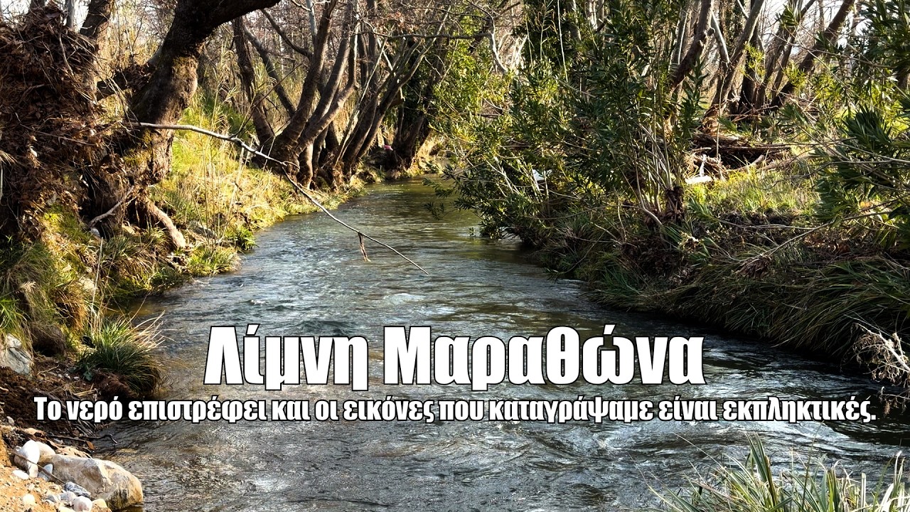 Το νερό επιστρέφει στη Λίμνη του Μαραθώνα και οι εικόνες που καταγράψαμε είναι εκπληκτικές.