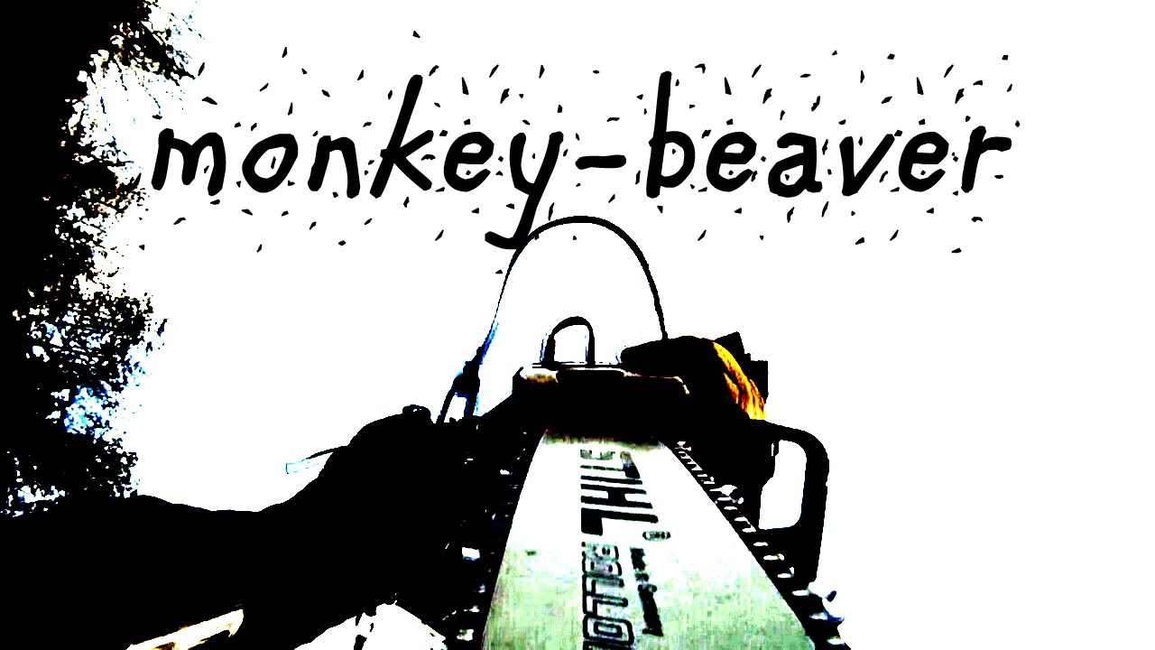 Monkey-Beaver