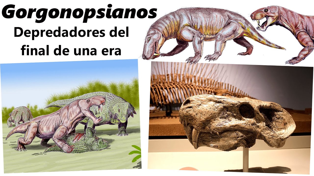 Gorgonopsianos. Descubre a las bestias con colmillos del final del Pérmico