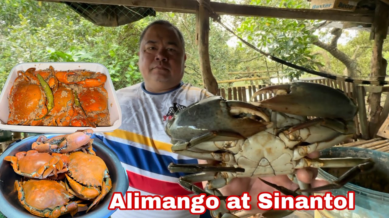 May nagpaluto ng Sinantol at Alimango 
