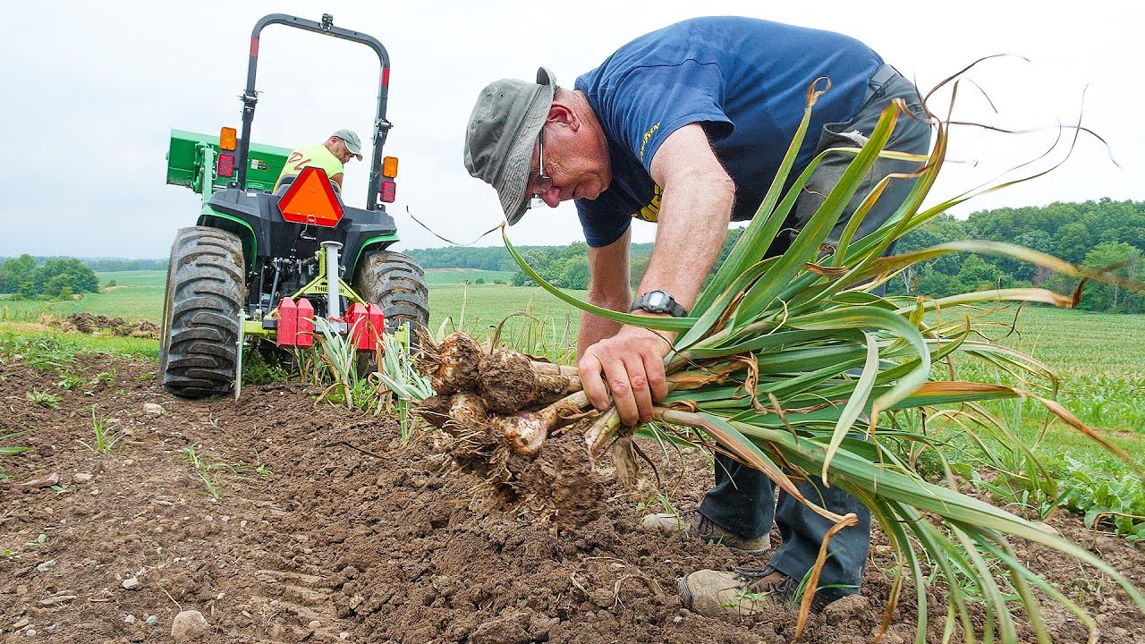 Undercutter Saves Time & Effort Harvesting Your Root Crop!