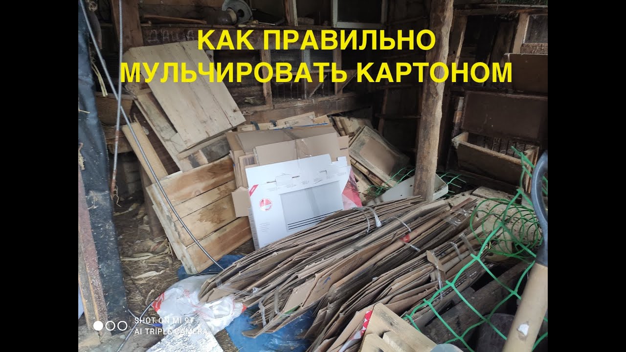 ВСЯ ПРАВДА О МУЛЬЧИРОВАНИИ КАРТОНОМ