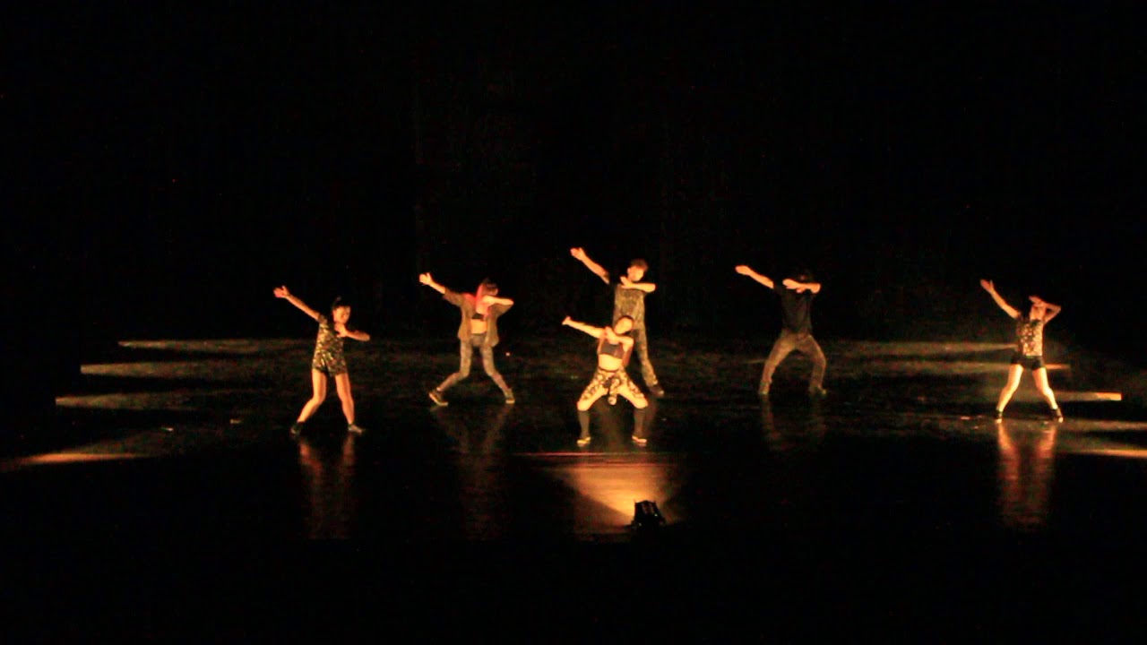 Continência | IX Encontro Catarinense de Dança | 2017