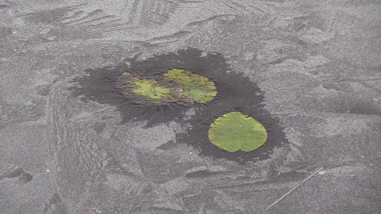 Luonto taiteilijana! Haukipudas Siikasaari Nature as an artist! एक कलाकार के रूप में प्रकृति!