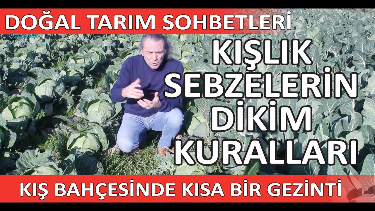KIŞLIK SEBZELER HAKKINDA BİLGİLER! KIŞ BAHÇESİ GEZİNTİSİ KÖY HAYATI