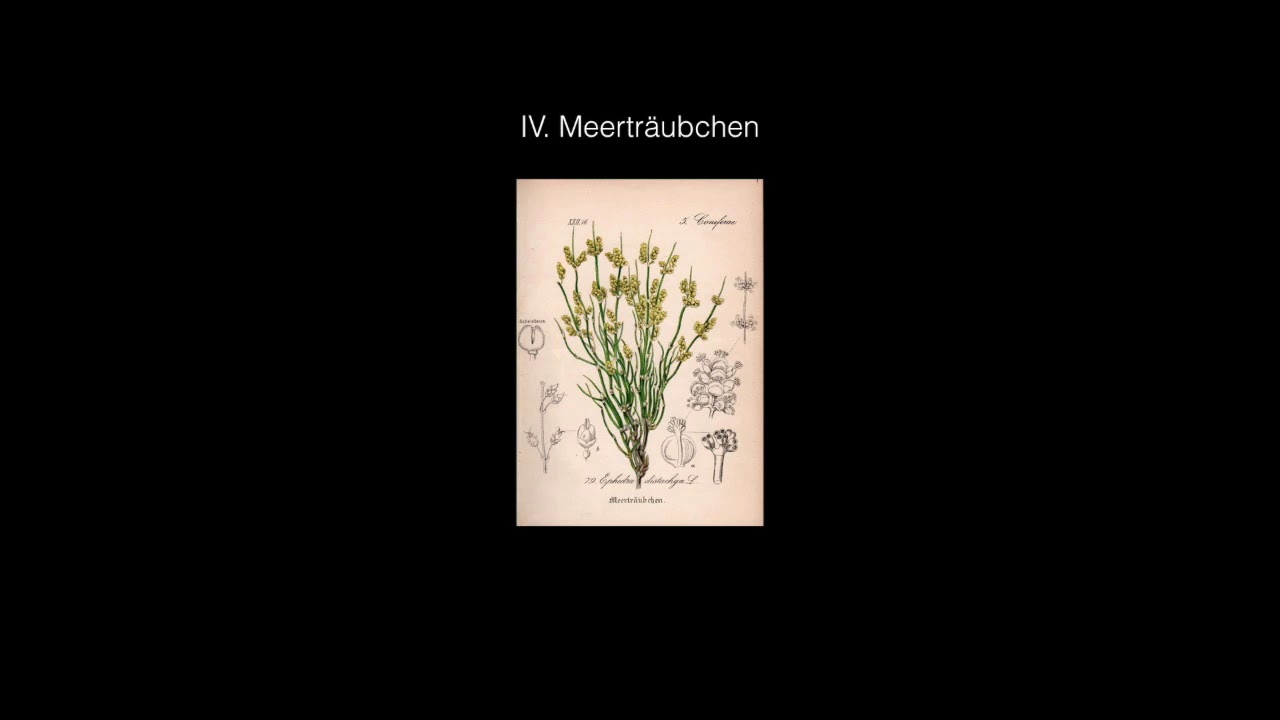Fabian Müller: «Klingendes Herbarium» – Kammersymphonie für (Schubert-)Oktett-Besetzung