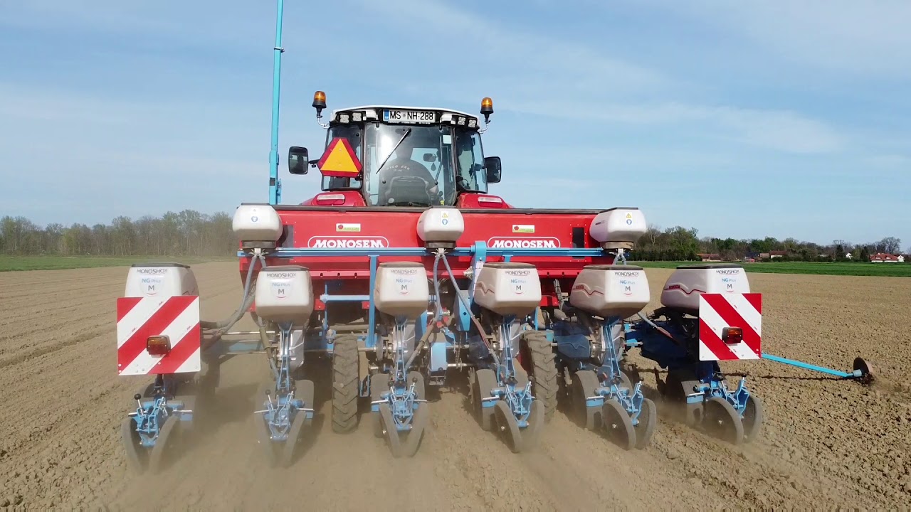 Steyr Multi 4120 & Monosem Monoshox NG Plus M | Setev koruze 🌽 2020
