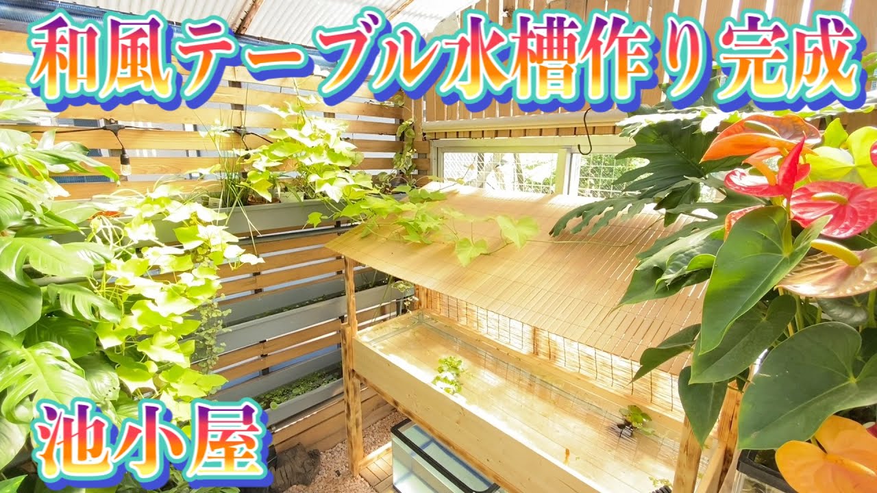 【和風テーブル水槽作り完結】②金魚・ビオトープ・手作り水槽