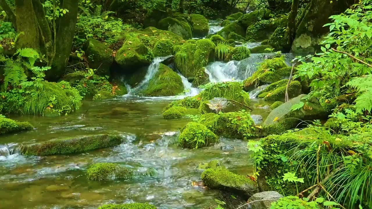 Чистый голубой звук реки, пение птиц/сон, релаксация, АСМР/