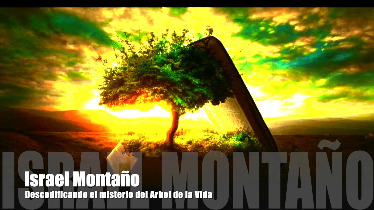 EL MISTERIO DEL ARBOL DE LA VIDA ¿Portal dimensional? ¿La puerta del cielo de Dios? ¡IMPRESIONANTE!