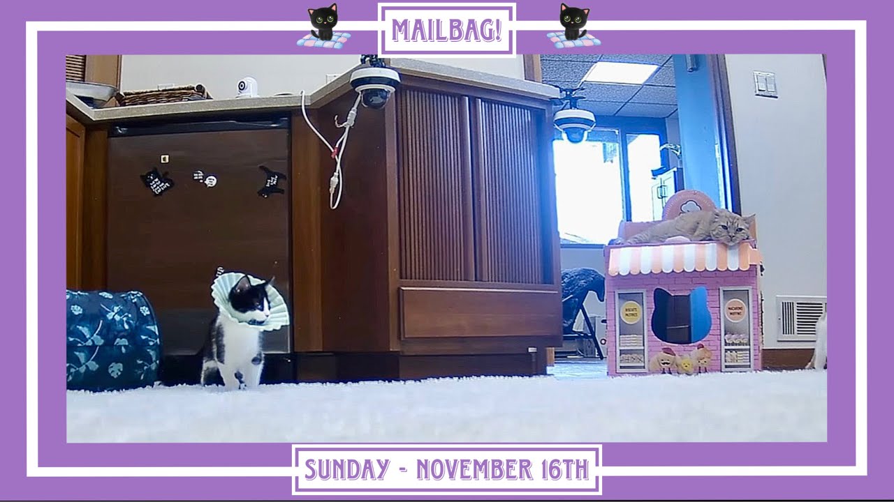 Mailbag! - Sunday November 15th.
