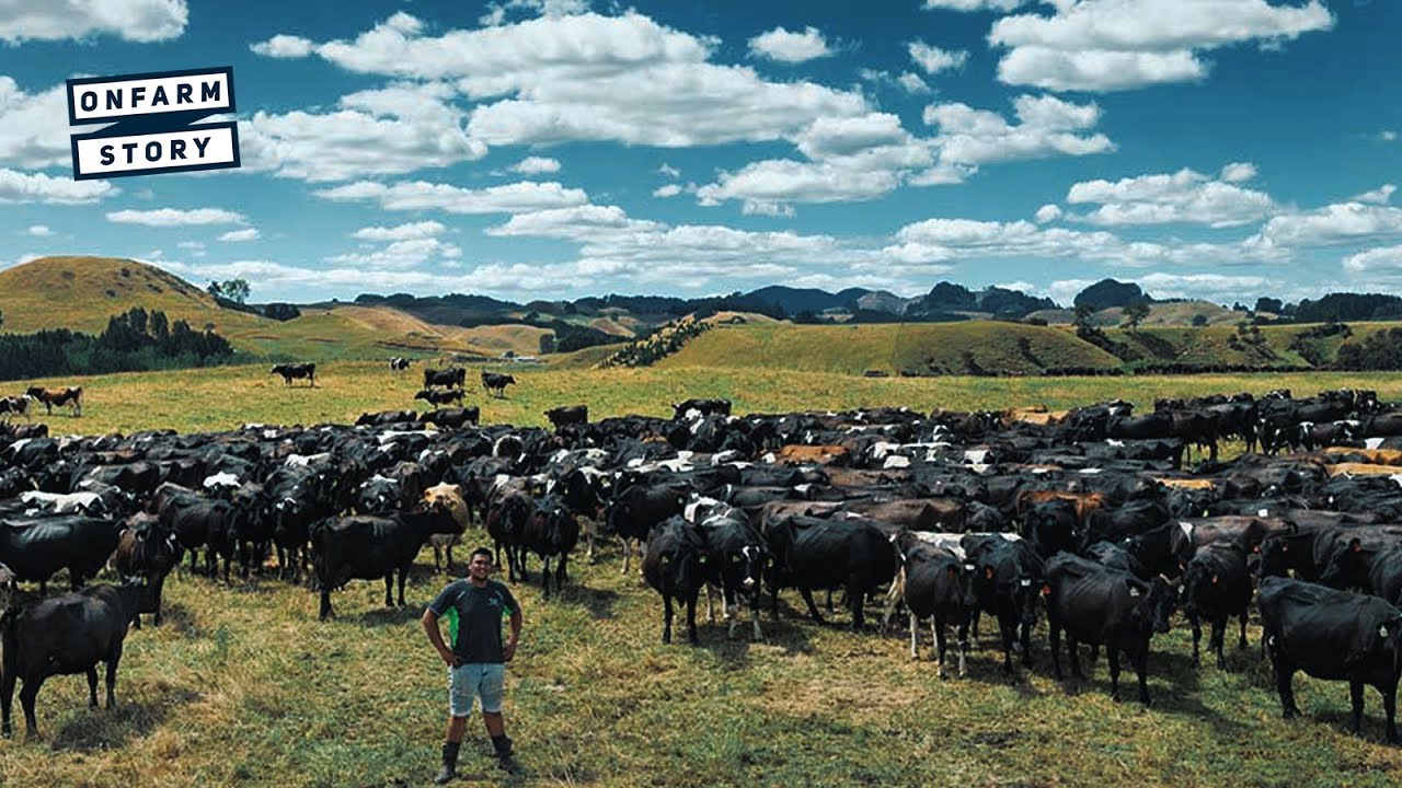 Mihaka Beckham, Kiwi Dairy Farmer | On Farm Story