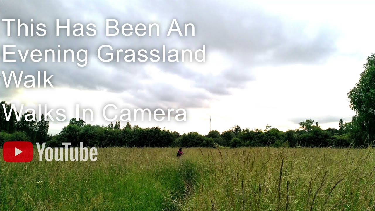 An Evening Grassland Walk