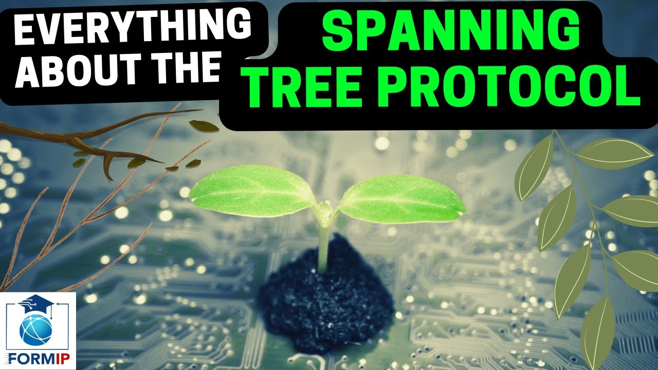 EVERYTHING about the Spanning Tree Protocol (STP)