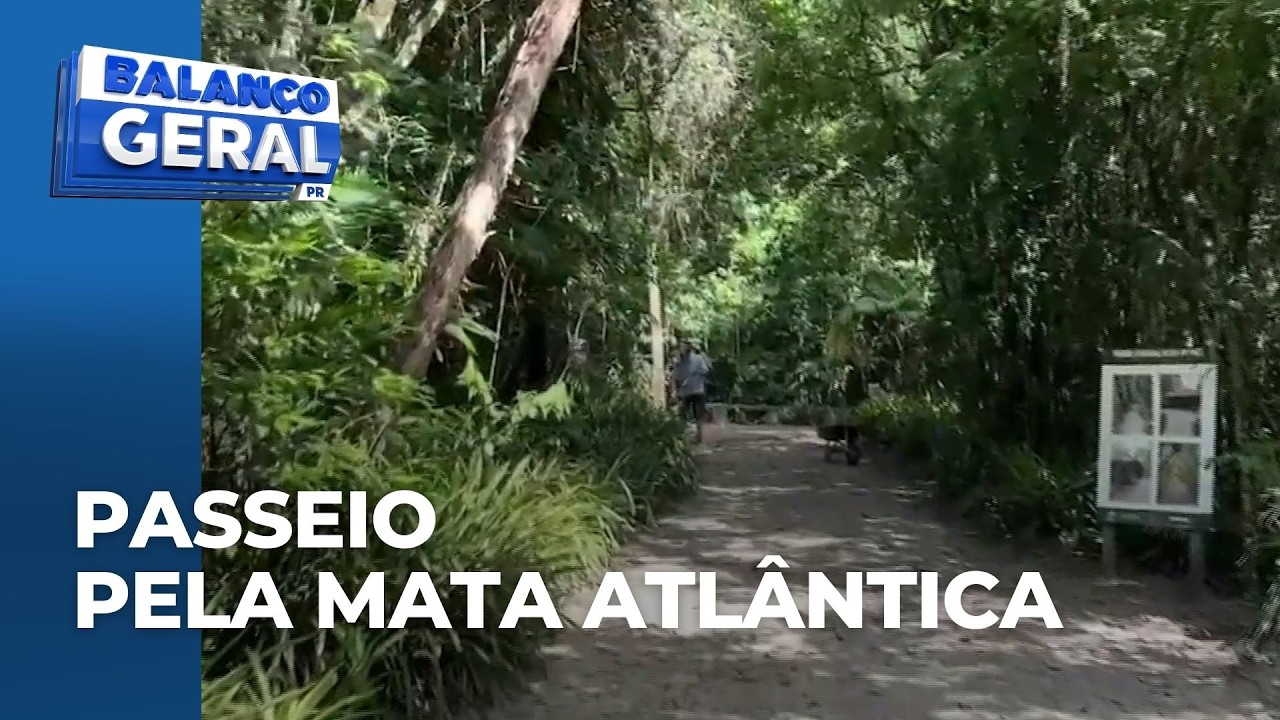 Unidade de conservação em Matinhos é aberta ao público e oferece passeio pela Mata Atlântica