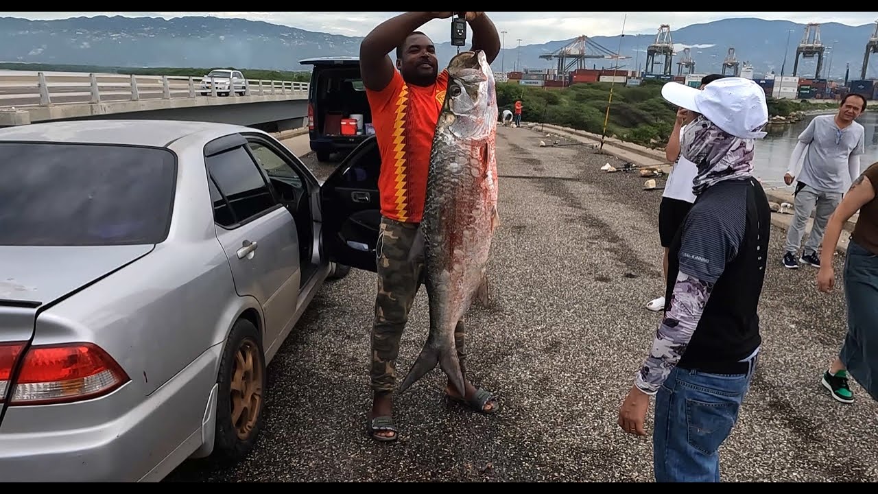 55 LBS. ATHLETIC FISH// The luckiest Crevalle Jack.
