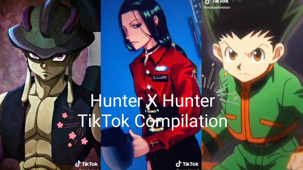 Hunter X Hunter TikToks because im still waiting for season 2