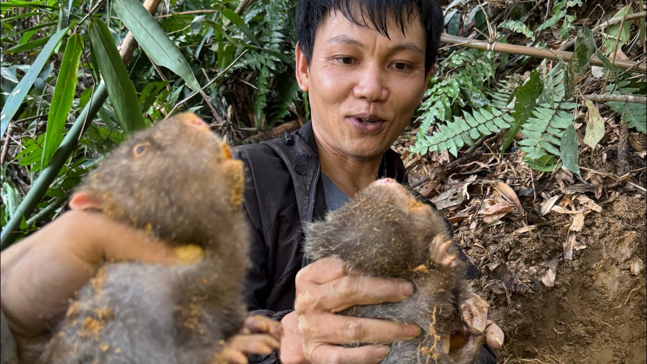 Sinh tôn trong rừng ( thợ rừng xứ nghệ)