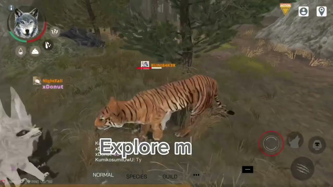 Who likes this intro for others? Wolf online 2 new intro play now for free! :)