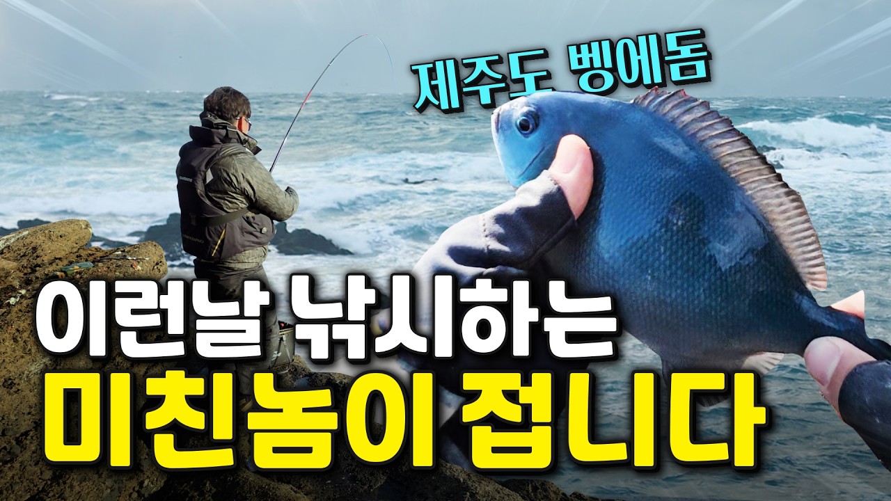 [ep2]풍랑주의보에 막힌 제주, 하지만 결국 벵에돔은 나왔다｜제주 2박3일 낚시여행
