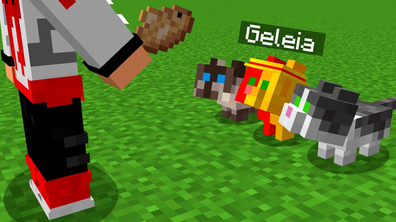 usei modmorph pra TROLLAR meus amigos no minecraft