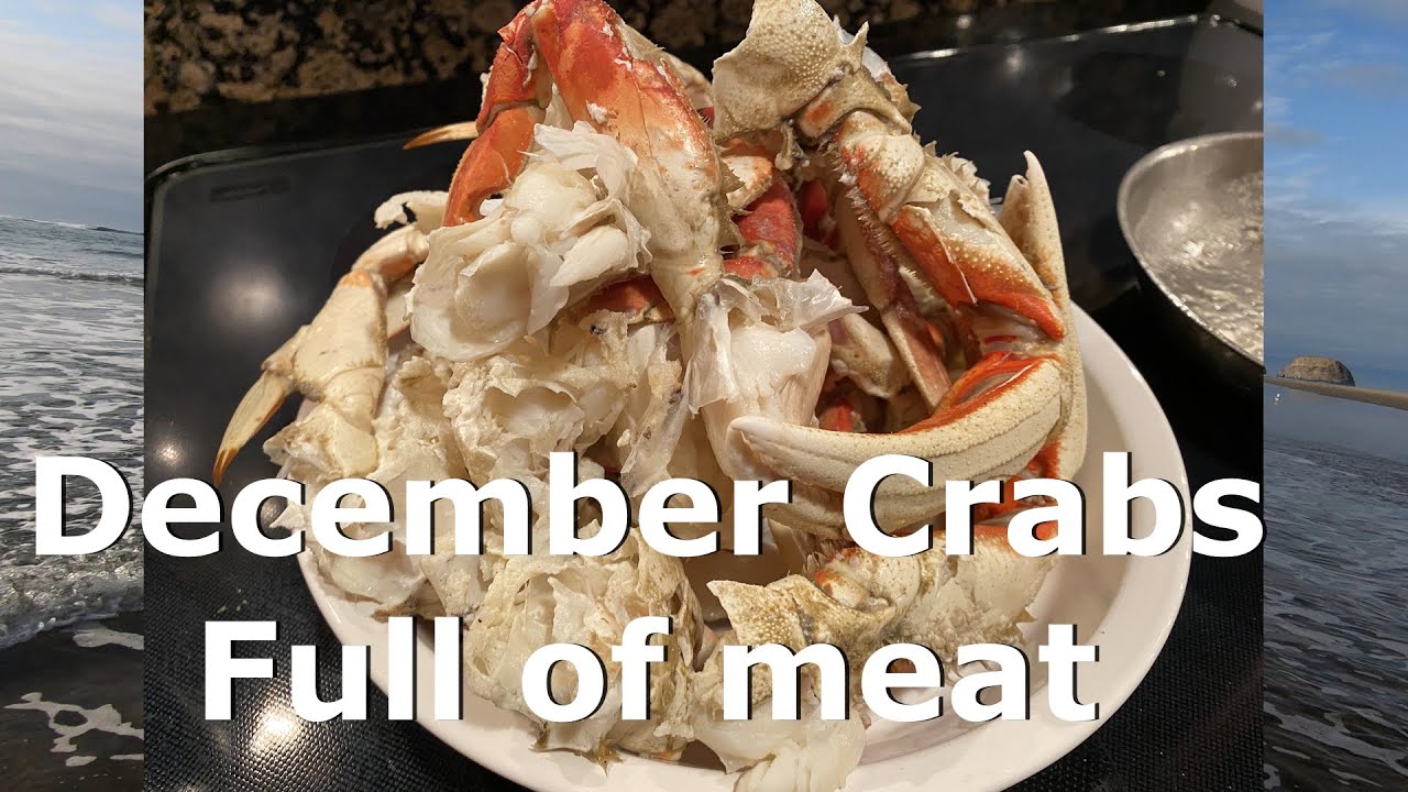 Crab Snaring Oregon, Tillamook County, month of December