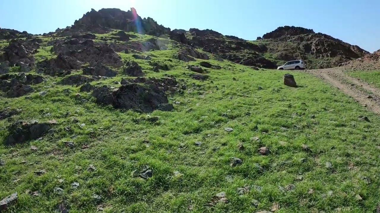 ربيع جبال غرب مكه المكرمه بين حداء والشميسي تصوير السبت ١٧ ديسمبر ٢٠٢٢