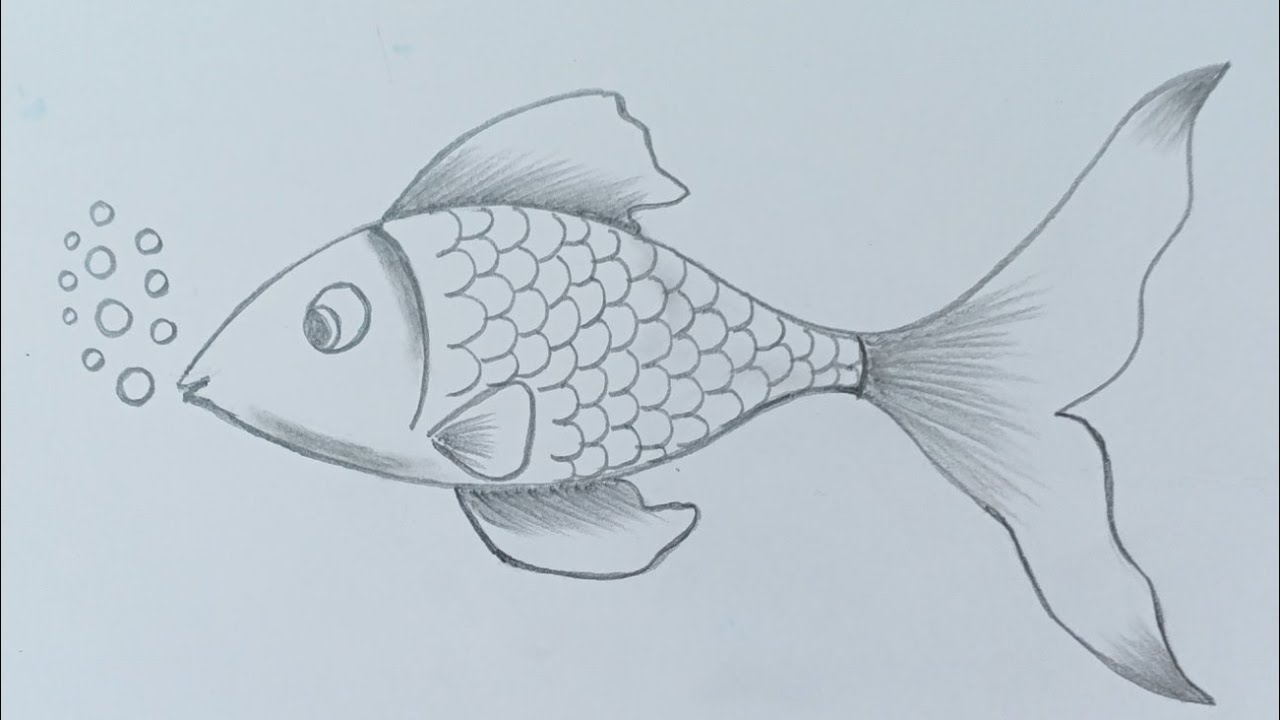 Easy Fish Drawing/Fish drawing