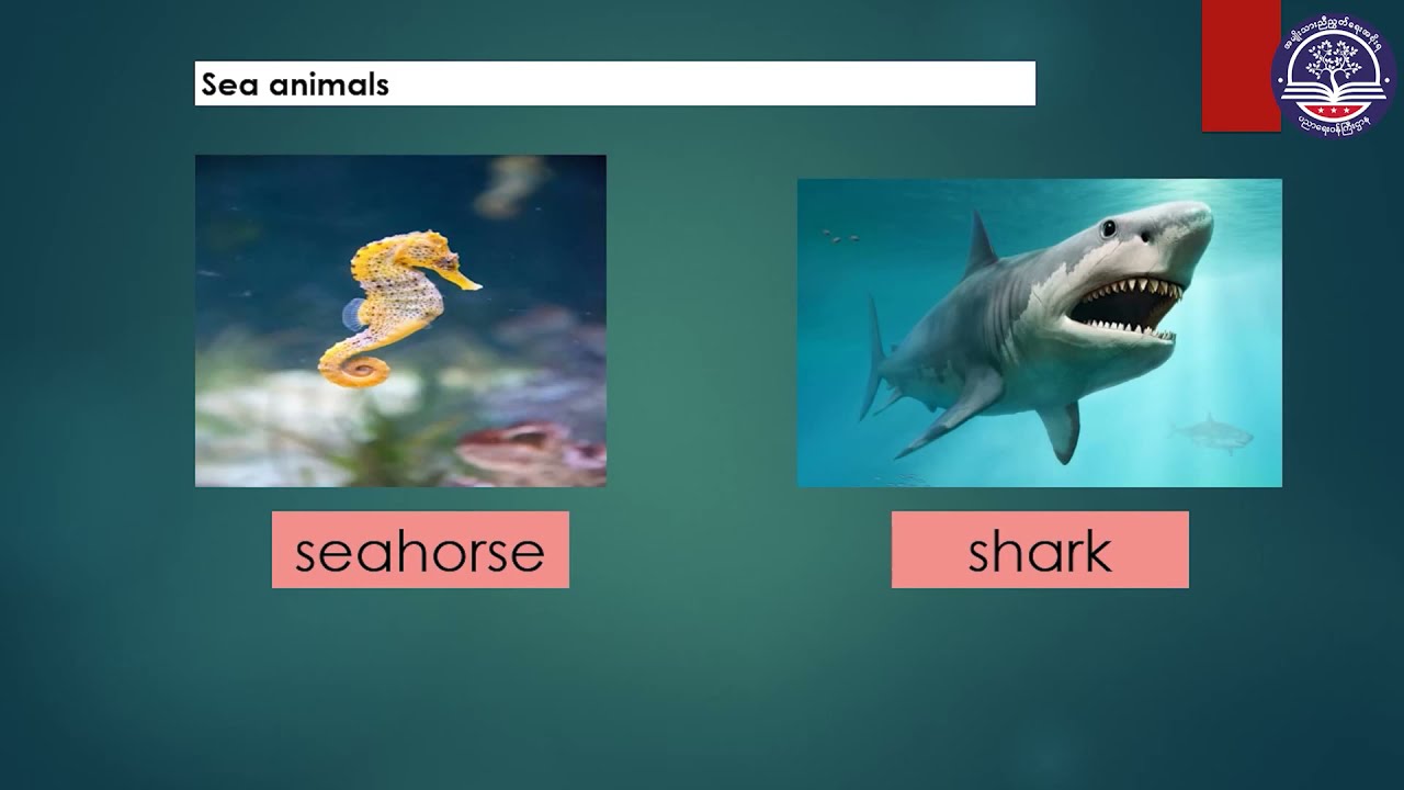 Grade 4 English, Unit 2 Animals, Lesson 2 (Is it a land animal?), Page (14 to 15), Part (3)