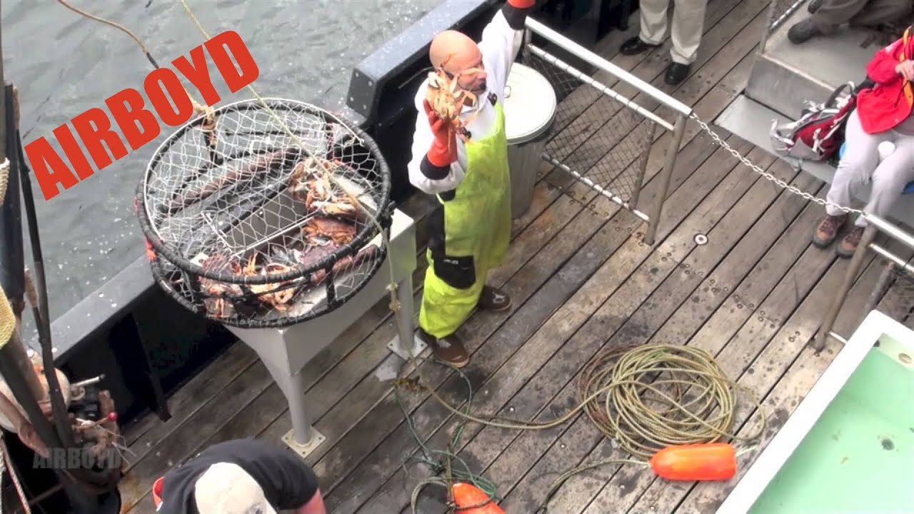 Dungeness Crab Pot F/V Aleutian Ballad