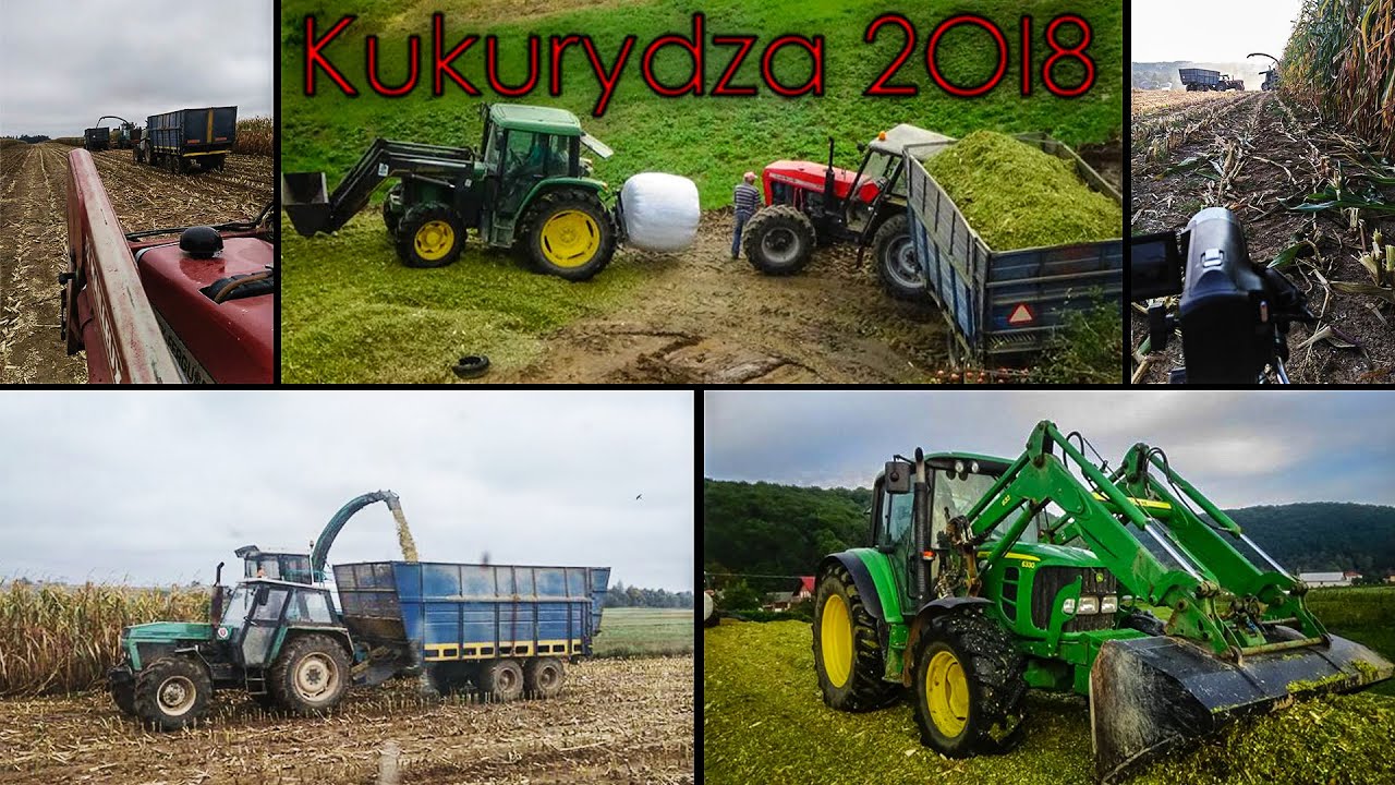 Koszenie kukurydzy 2018 w Lubelskim!5 ciągników!Mengele mammut/Ursus 1614/1224/mf592/jd 6330/6600