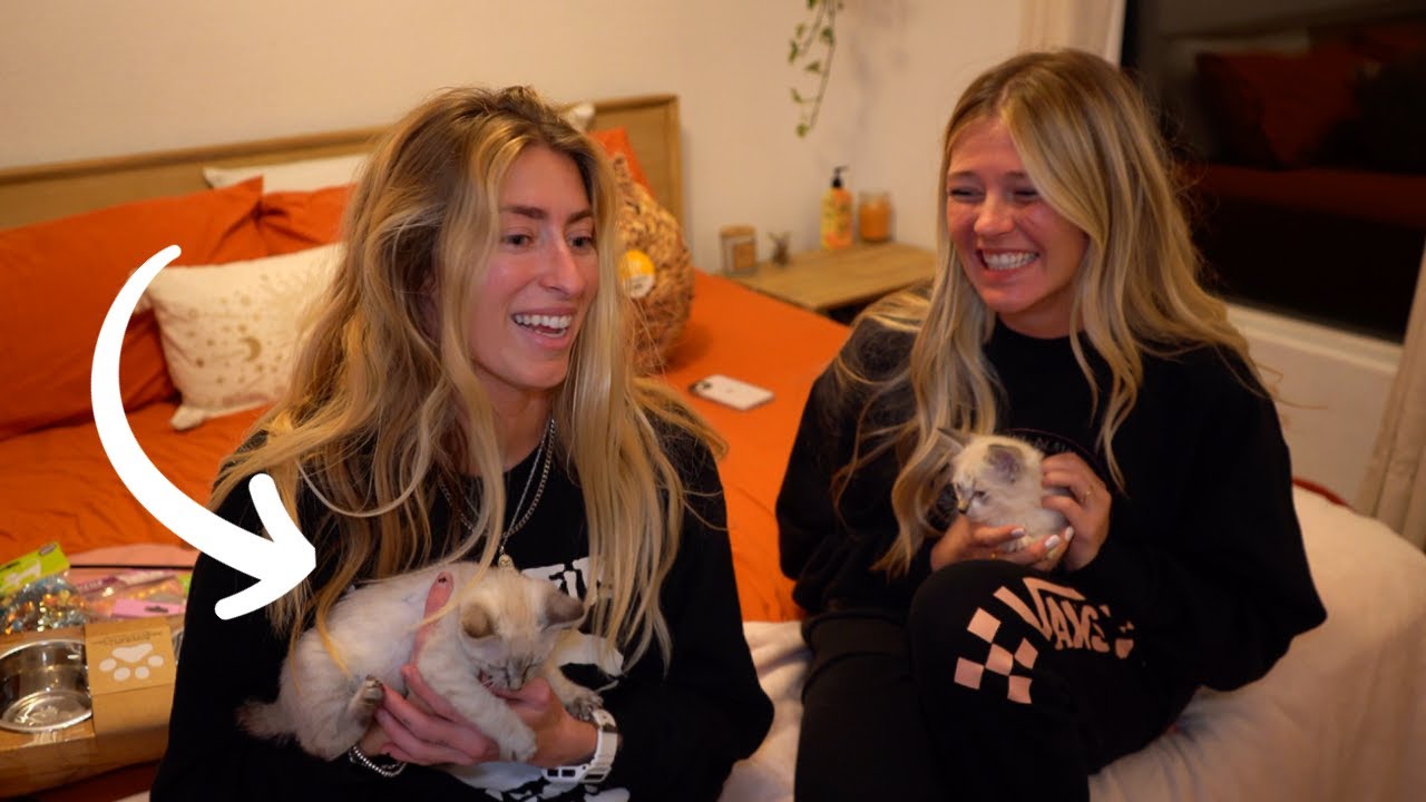 Best Friends Surprises Her With Kitten!! | Kitten Palooza