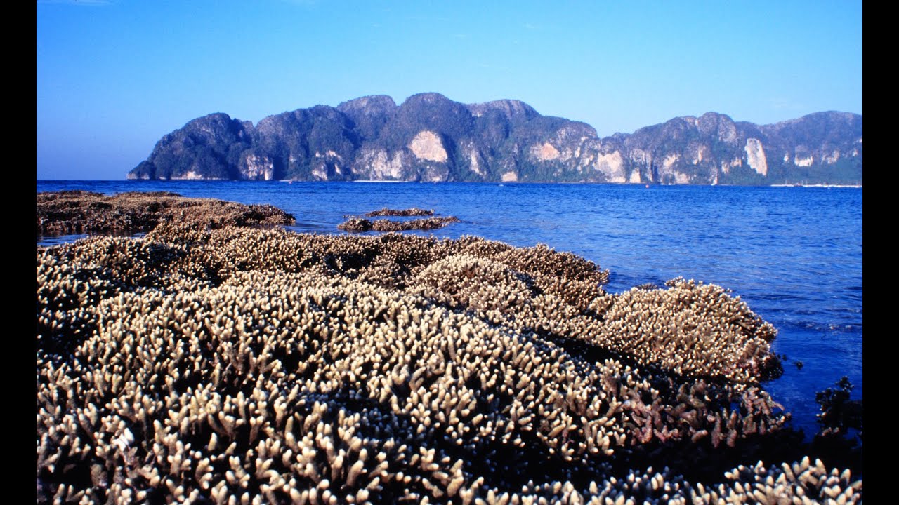 Phi Phi Island 1989-93