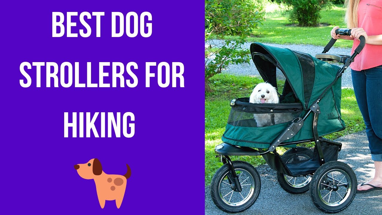 Best Dog Strollers for Hiking | Which is the Most Endurable Stroller?