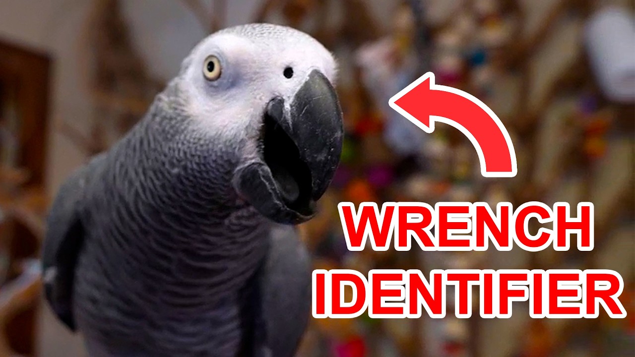 He Won't Work for Free