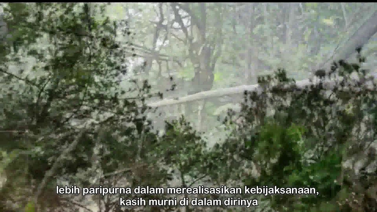 Wedaran tentang Kasih, Energi dan Kesadaran Murni