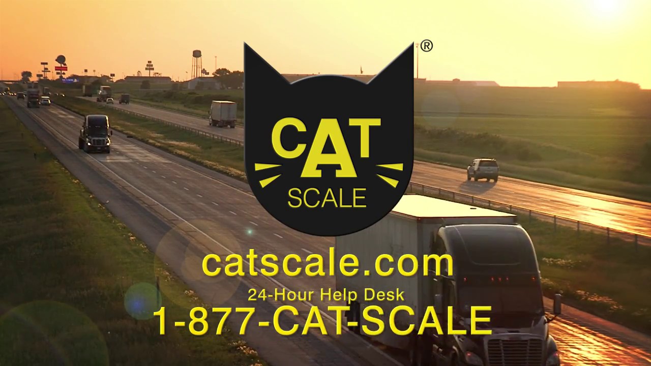 How To Weigh on a CAT Scale