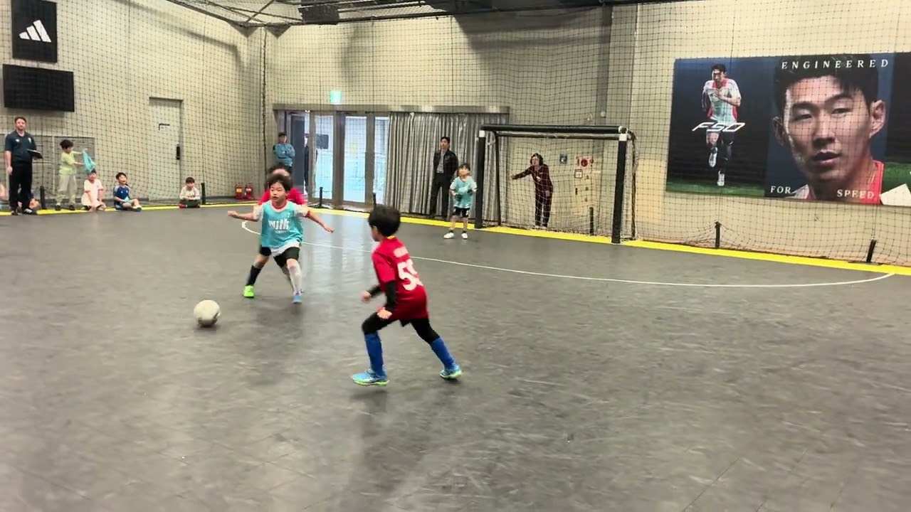 20260221一年生vswith ④