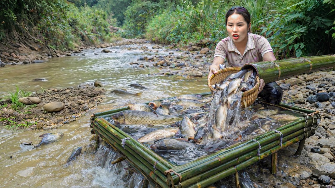 Digging Earth Trap to Catch a Big River Fish School with My Kids|Selling at the Market Until Sunset