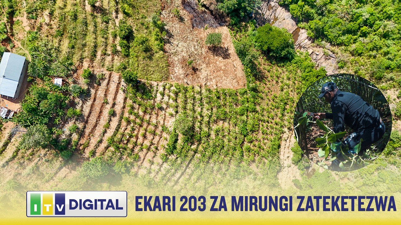 DCEA YATEKETEZA EKARI 203 ZA MIRUNGI SAME