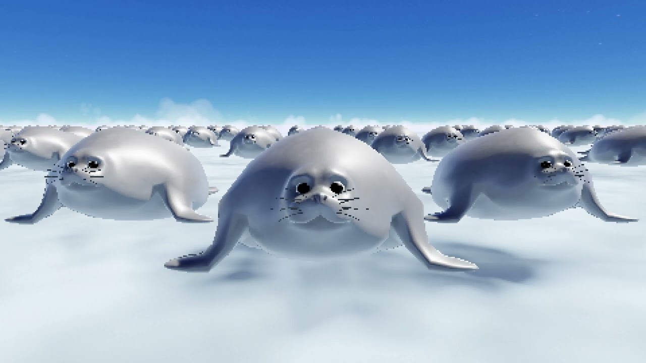 hello cro short vid idk