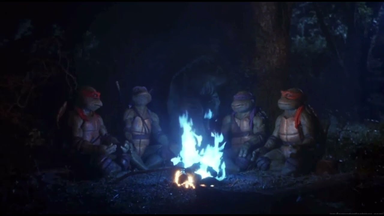 Ninja turtle healing meditation music