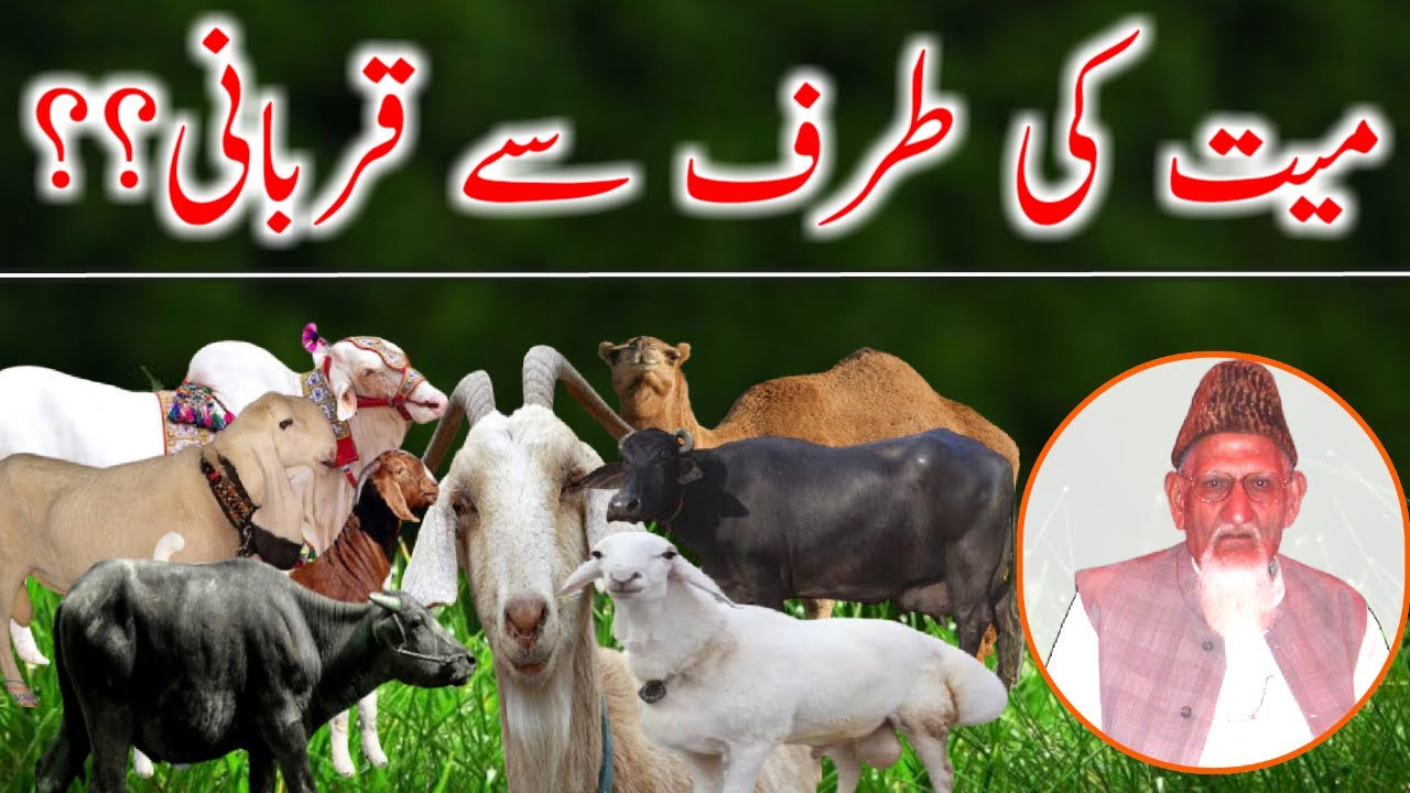 Mayyat Ki Taraf Se Qurbani | Maulana Ishaq Ra
