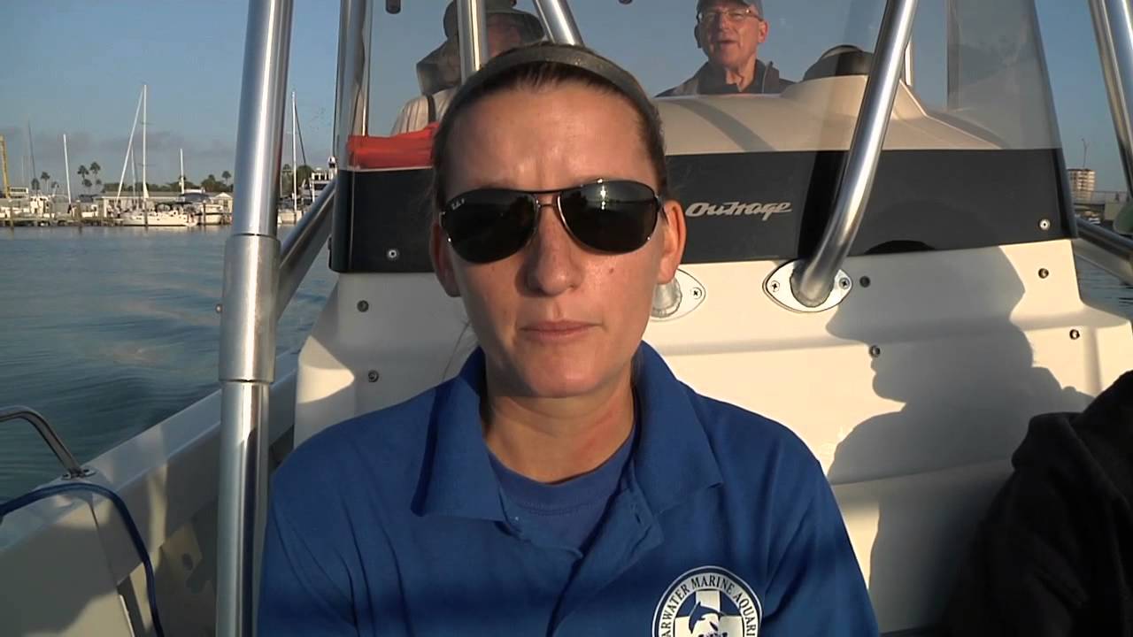 On The Water Vlog - Episode 8 -  Sea Turtle Hatchling Release