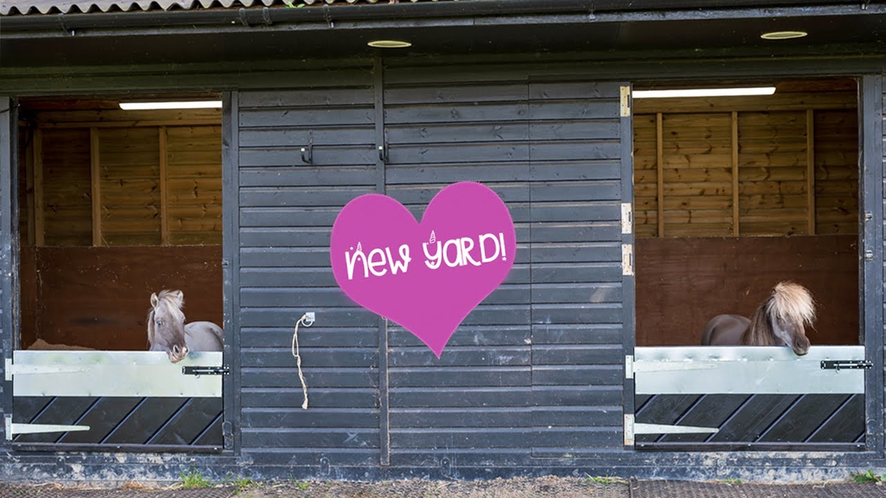 We moved yards!
