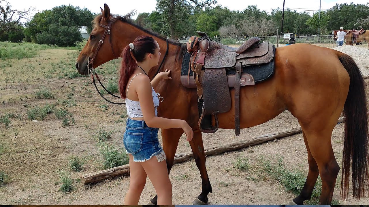 Teach Your Horse to Stand Still While Mounting - Fixing walk off while getting on.
