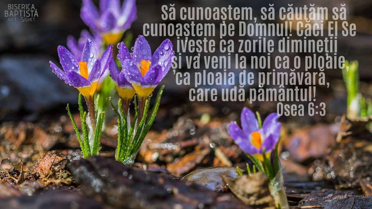 Duminică  - 15.03.2026