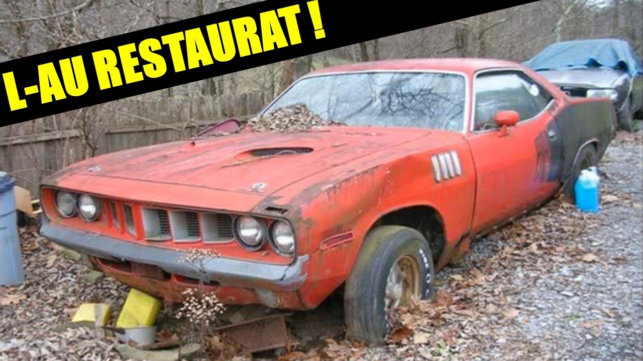 Mașini Abandonate, AUR, Cutie cu Telefoane și Alte Obiecte Neobișnuite Găsite Sub Apă Și Pe Uscat!