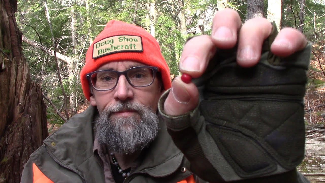 Секреты выживания от Woods Whisper